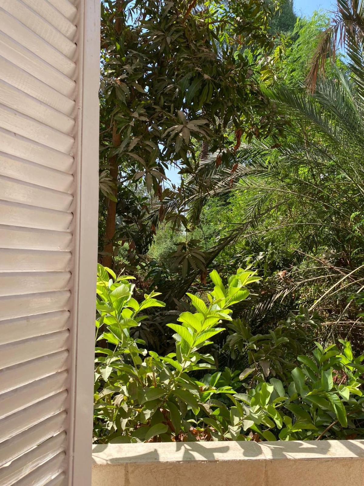 Abu Guest house